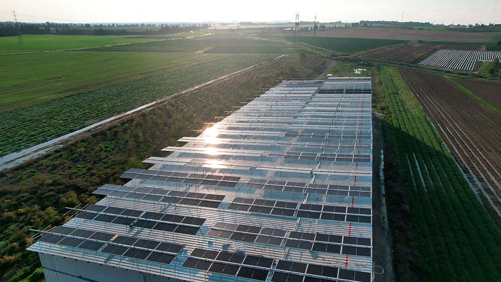 Pannelli solari agrisolare novaenergy