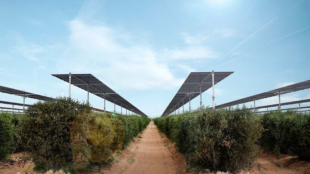 Agrovoltaico novaenergy